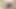 monster boob milf masturbating on vr cam