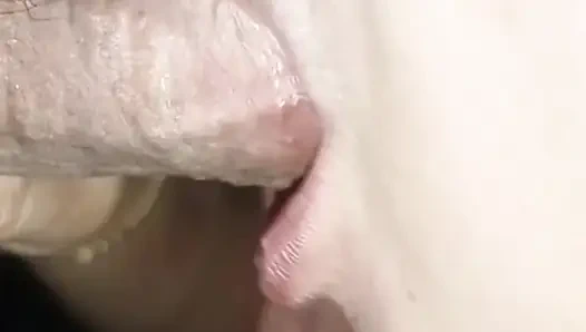 I took her to the boarding house to eat her eggplant.