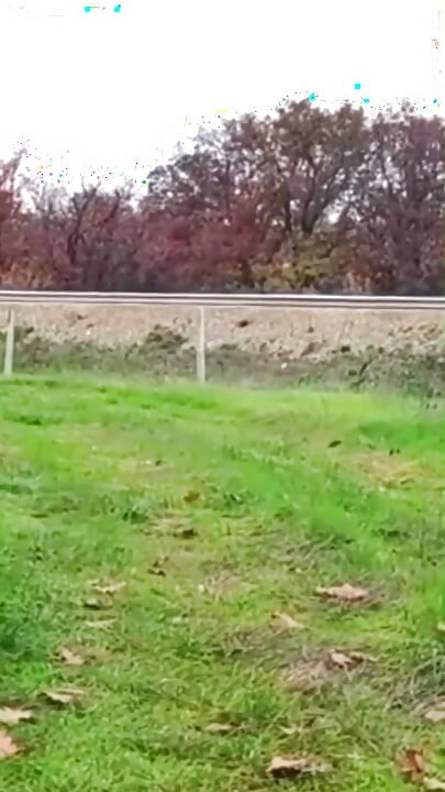 Pedepsind-o pe sclavă