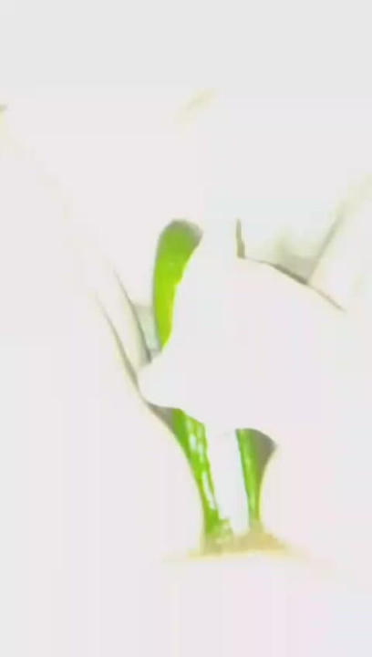 Nice hard pussy fucked with cucumber