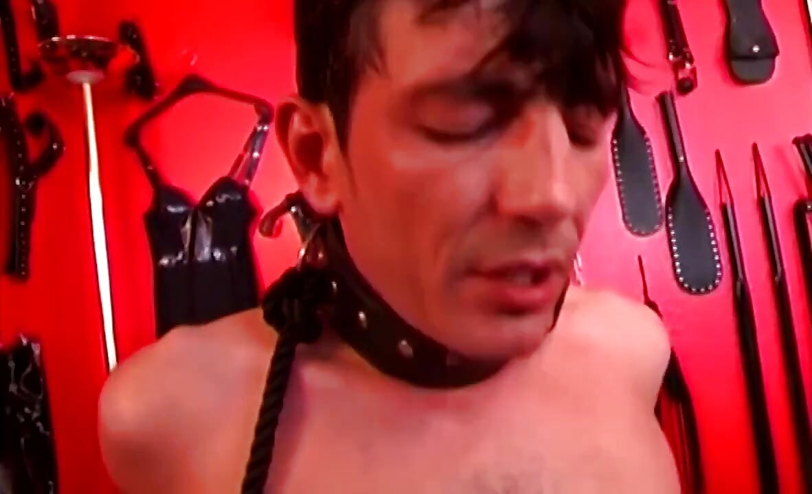Dominant MILFs Pegging Collared Slaves with Thick Strap-ons