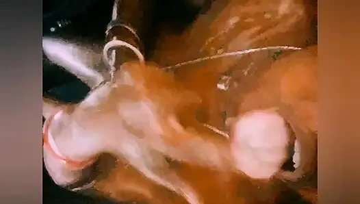 Bengali big books indian hot video