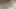 Horny neighbor loves to fuck a giant brunette&#039;s cock - passionate oral sex - Amateur Nora Milf - Andy Z 94