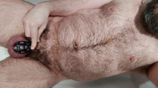 Hairy locked bear pissing in chastity