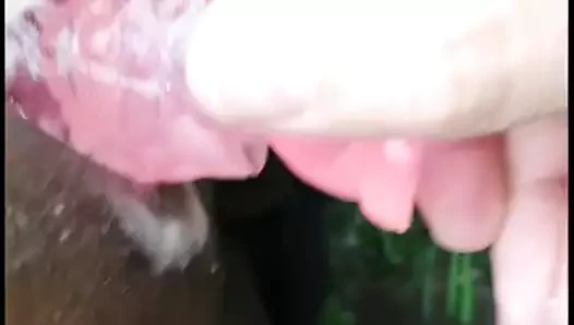 yapay penis içinde kamu