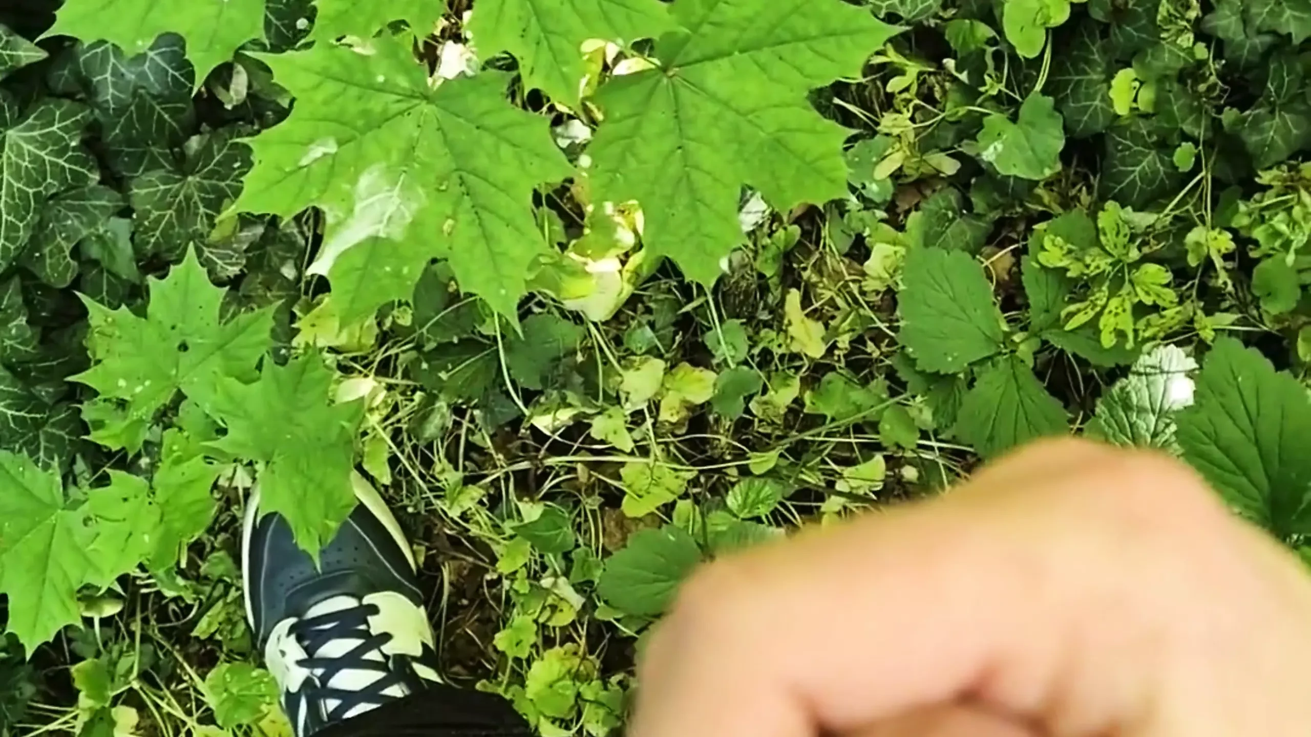 Compilație de ejaculare