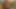 Sex in Germany with a sensual mature woman with a lot of
