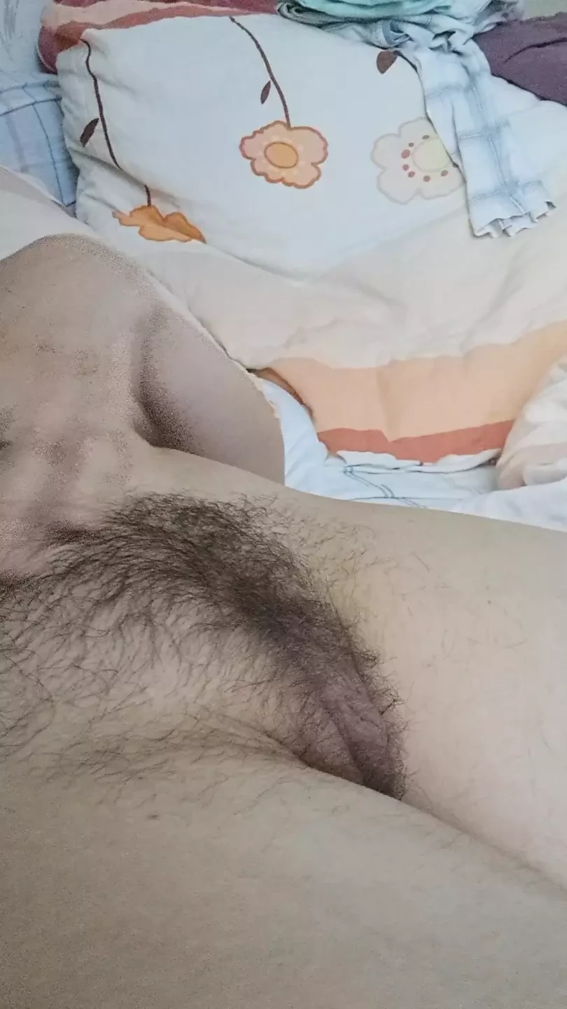 甜美阴户