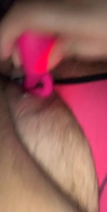 New toy 5