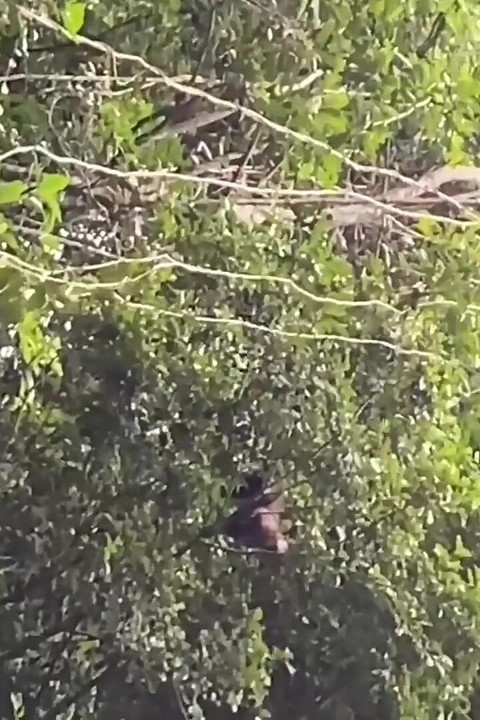 Público, caminhadas em cachoeira, fodendo, pega hardcore anal, grande gozada sem cortes em sexo gay