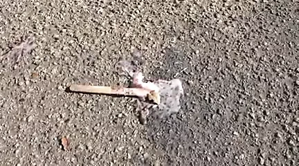 白人女孩想要黑色冰淇淋