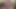 Horny daddy masturbating penis and ejaculating for you