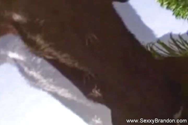 Florida Amateurs Poolside Playtime