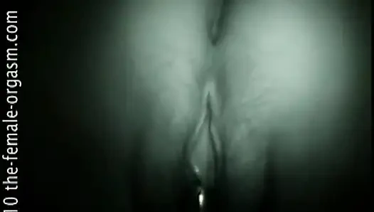 Т-бабочка трахает попкой вверх