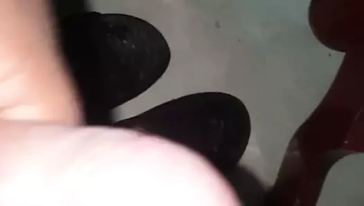 Pene colombia