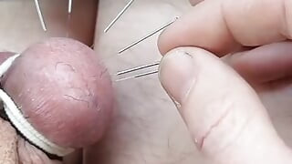 Needles in my nuts