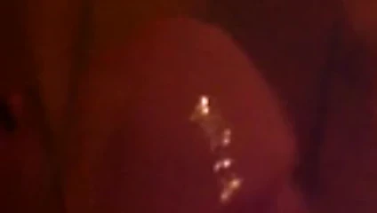 Yarağım
