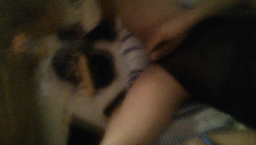 Dildo sex mmmmmmm
Super geile dag