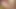 Hot babe in stockings drilled in her hairy snatch