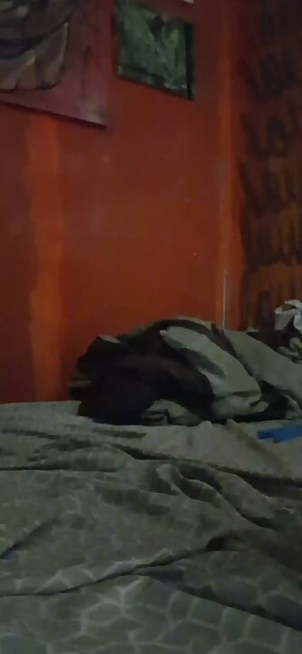 Horký OBROBSKÝ PTÁK