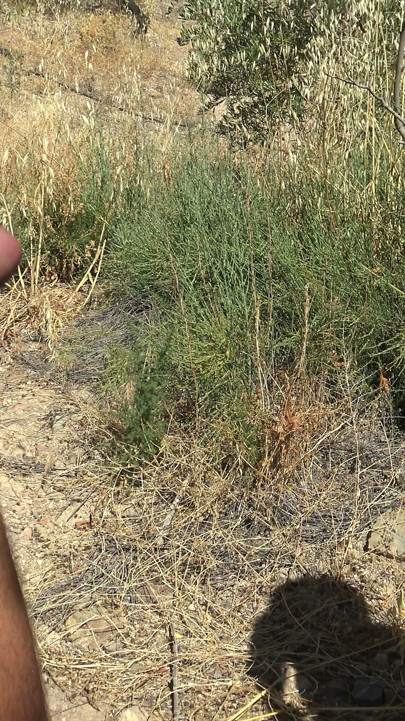Amateur Cuckold Couple Begging For Anal Sex In Nudist Camp | Clip 1