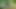 MMD Touhou - Cirno Sex in the forest