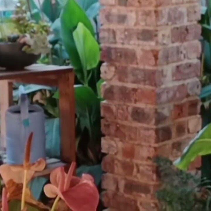 Bigjoefuckalot'un Vahşi Bebek Bakıcısı Tahriki