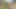 OUTDOOR SEX, Young Latinos Pay Penance To An Indian Dwarf With Hard Sex To Get Out Of His Enchanted Lands