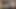 dostum seksi sarışın koca ağaca karşı saban