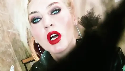 50 shades of a succubus