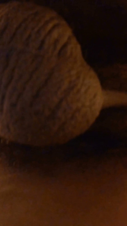 New 2024 Ass Fetish Compilation Hallelujah Johnson ( Watch Hallelujah Johnson Porn ) | Clip 2