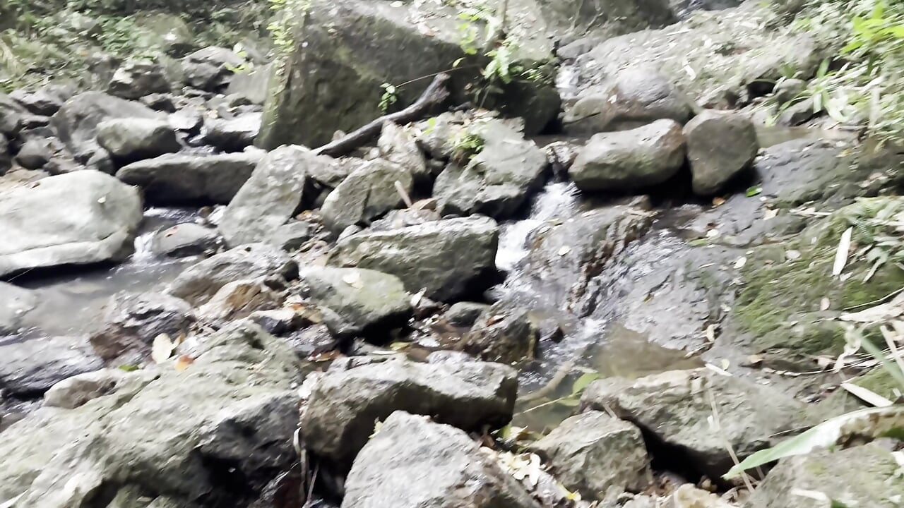 정글에서 토플리스 Monika Fox 빠른 오럴과 입에 사정