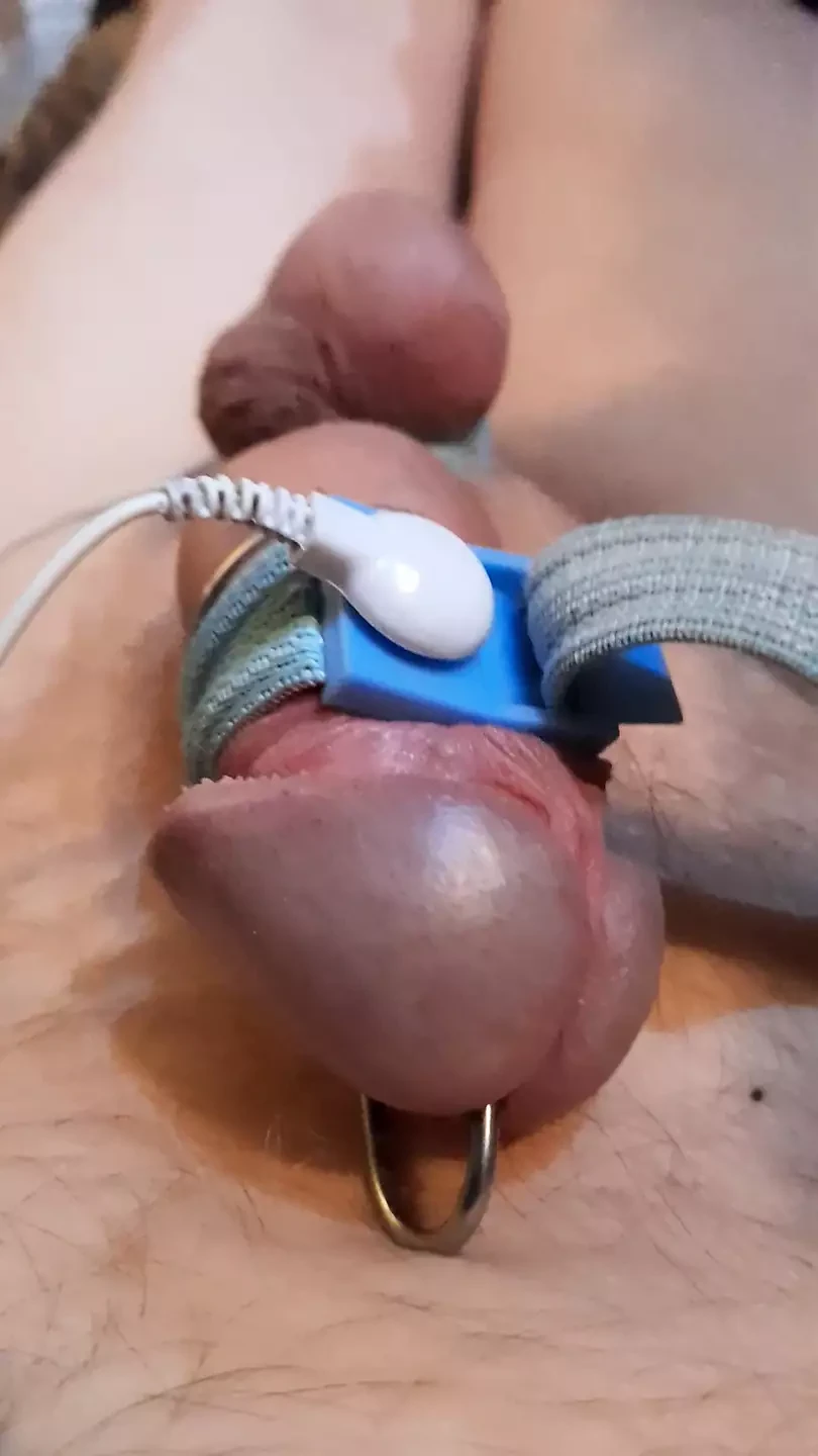 Estim