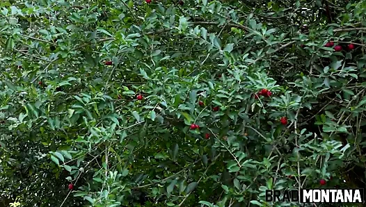 Gefräßige Nymphomon Hat Einen Dreier Gefickt Und Dpa Im Fell Gemacht