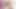 Tiny 4K compilation PMV by dimecum trailer