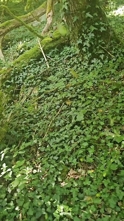 I was touching myself in the woods when a voyeur caught me and fucked my pussy.
