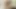 BIPHORIA - Big Cock Bisexual Orgy - 13 Horny Bodies, Massive Cocks, Luscious Tits & Booming Booties