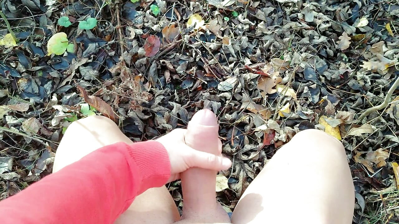 Outdoor Cumshot on Dry Leaves ( Autumn Outdoor )