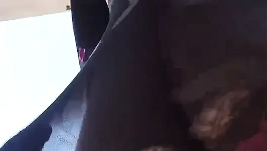 Demon Bee Runs Errands with Her Tail Out