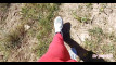 Pregled videozapisa
