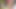 Young and Beautiful Thai Student Seduced Into Porn