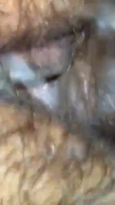 Hairy pussy and big pinus porn | Clip 3