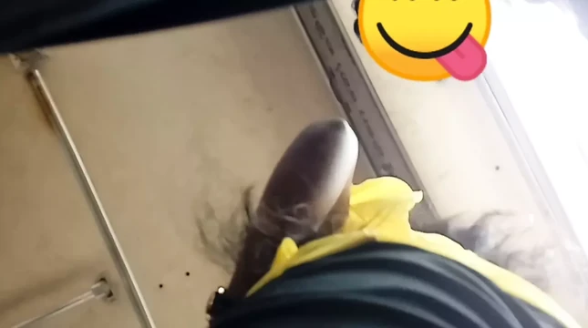 Niyama passa