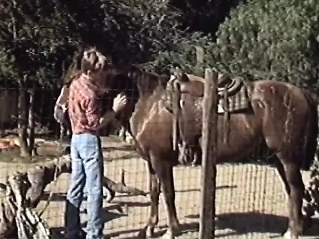 Rawhide part 1