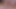 パラダイスアップルズ セクシートイプレイとからかい