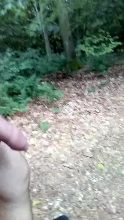Im Wald spazieren
