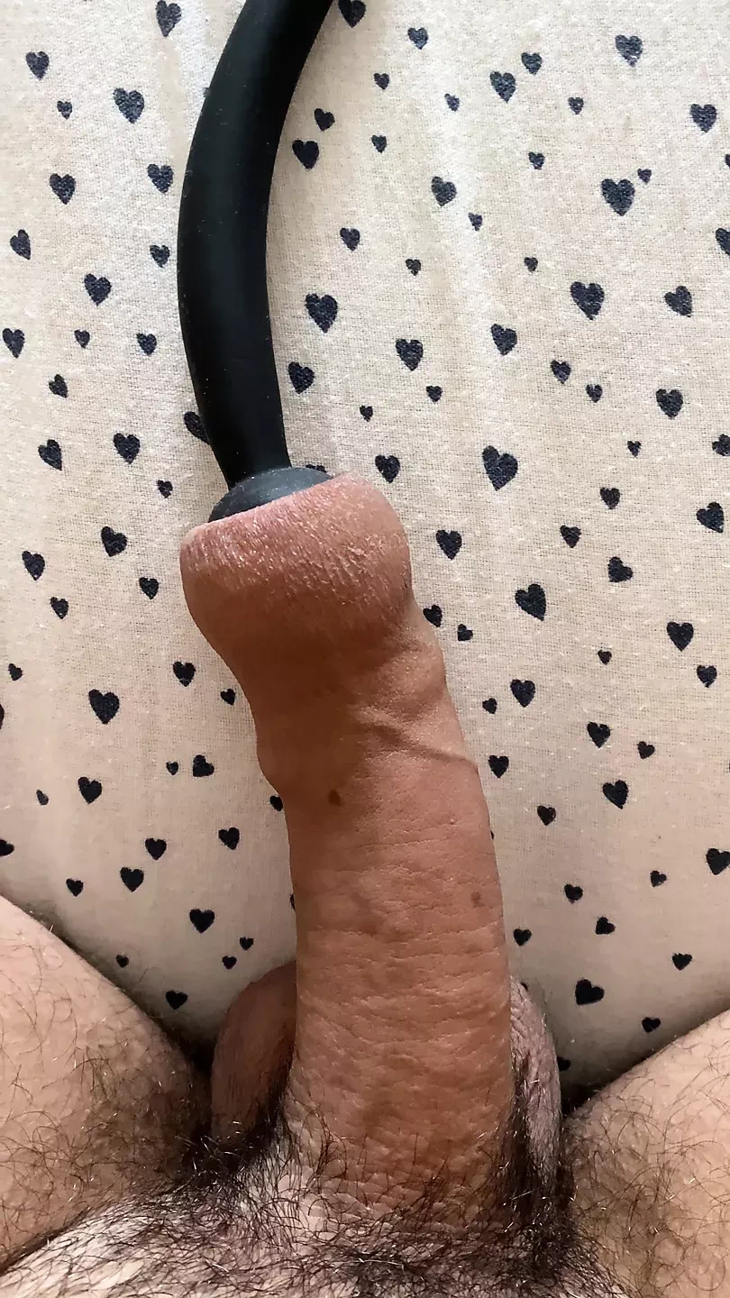 Foreskin extreme air inflation porn