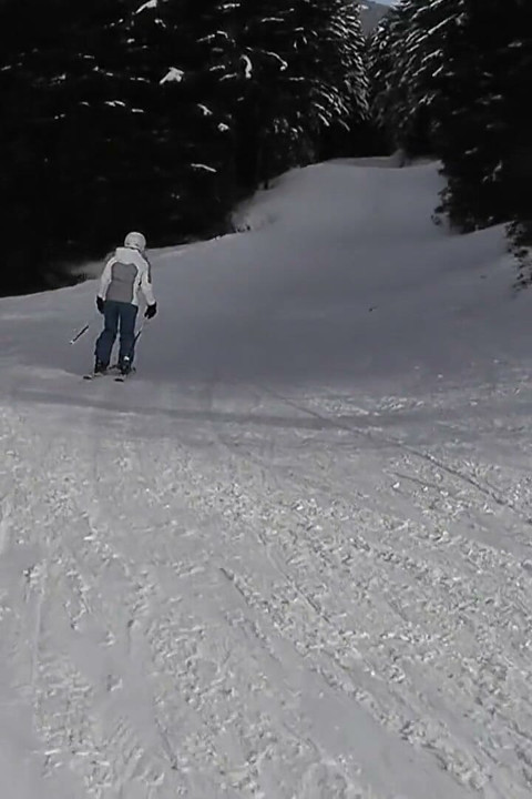 Student Aneta Fickskihütte New