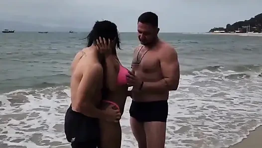 Я встретил двух кошек на пляже и ласкается с ними прямо там