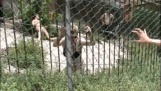 Шлюховатая волосатая милфа Inglese ищет большие члены, чтобы ее трахнули в парке